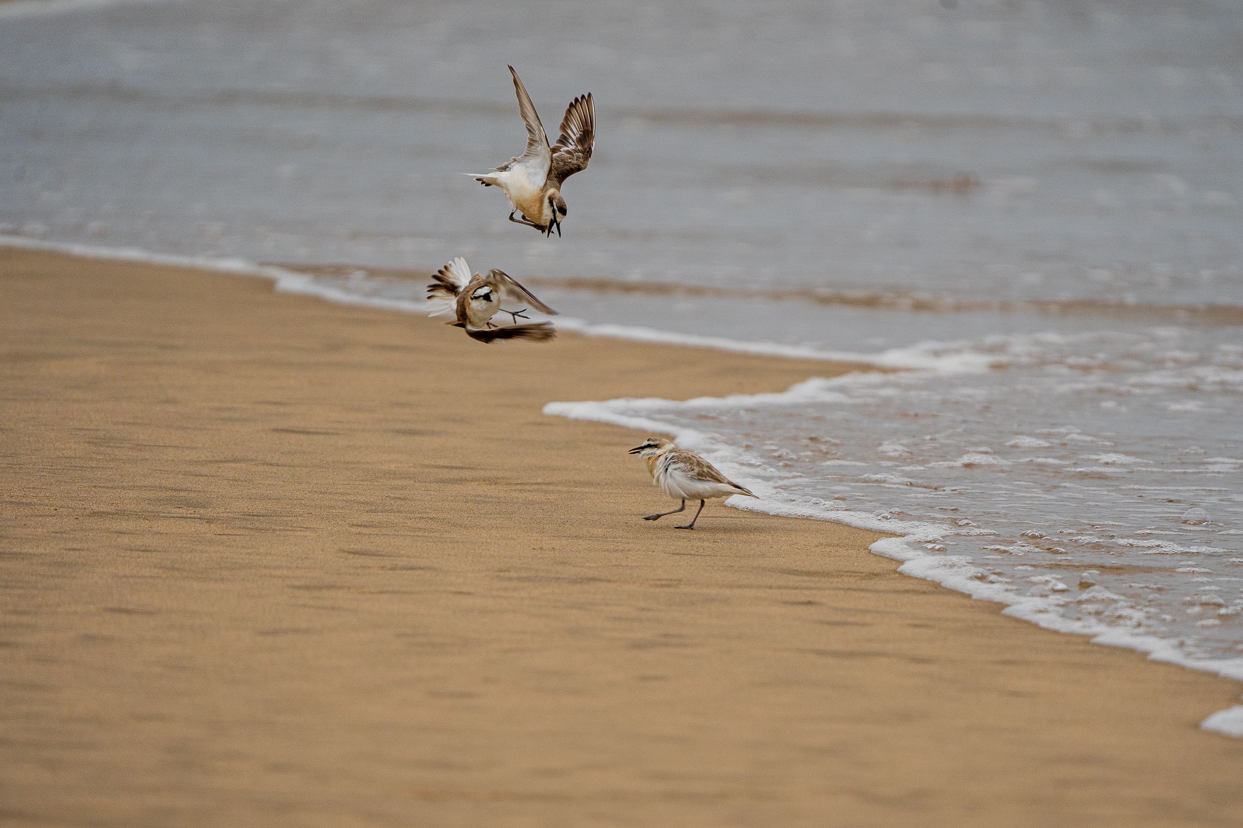 20230927 115326 Fotobuch Südafrika 04122
